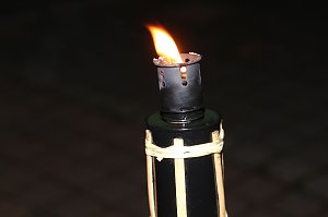 Lange Nacht der Wissenschaften in Nordhausen
