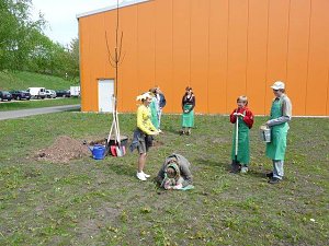 Wohngebietsfest Hasenholz