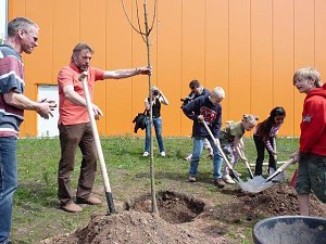 Wohngebietsfest Hasenholz