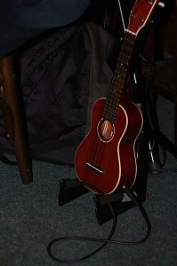 Konzert im "Stepel"
