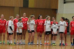 Ein fast perfektes Handball-Wochenende