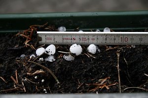 Donnerwetterbilder