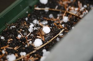 Donnerwetterbilder