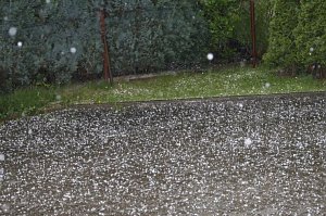 Donnerwetterbilder