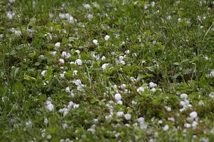 Donnerwetterbilder