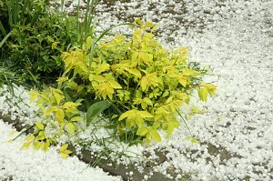 Unwetter in der Nordh&auml;user Altstadt