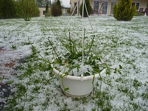 Unwetter &uuml;ber Heringen