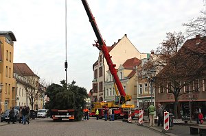 Ziel erreicht. Noch liegt er flach, der Hettstedter Weihnachtsbaum. Aber bereits heute Abend wird er die strahlende Erscheinung sein, ohne die ein weihnachtlich geschmückter Markt undenkbar ist.