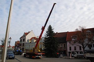 Dank breiter Gurte konnte der Baum vom Kran ohne Beschädigungen aufgerichtet werden. Noch muss er aber mehrmals auf und nieder gehoben werden, um ihn optimal in die Führung gleiten lassen zu können.