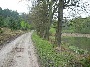 Am Pfaffenteich