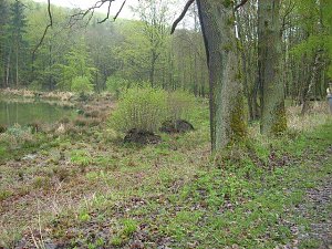 Am Pfaffenteich