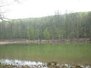 Am Pfaffenteich