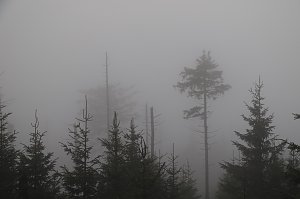 Heiligabend noch schnell auf den Brocken 2015