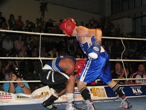 Nordhausen ist Vizemeister