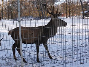 Winter im Nordh&auml;user Stadtpark