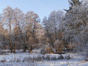 Winter im Nordh&auml;user Stadtpark