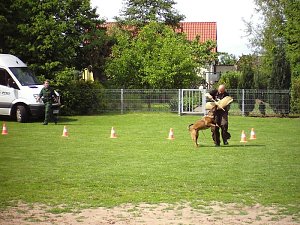 Kinderfest in Niedersalza