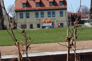 Massenandrang im Kurpark Bad Frankenhausen
