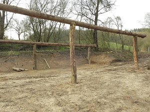 Platz für Wasserbüffel