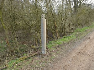 Platz für Wasserbüffel