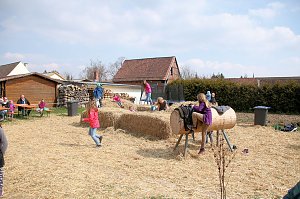 Hoffest in Wollersleben