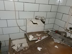Villa im Harz