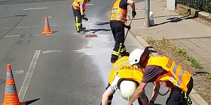 &Ouml;lspuren beseitigt