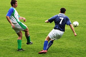 Salza gegen FH