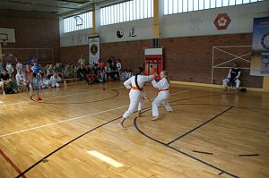 Kreisjugendspiele Karate
