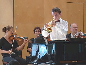 Carl-Schroeder-Wettbewerb