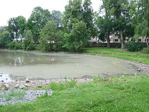Parkteich Sondershausen