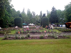 Fest f&uuml;r die K&ouml;nigin