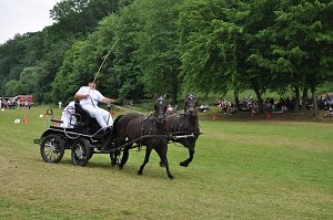 Ponyfest Wülfingerode