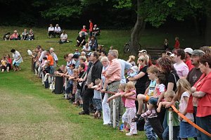 Ponyfest Wülfingerode