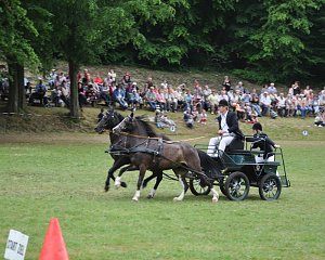 Ponyfest Wülfingerode