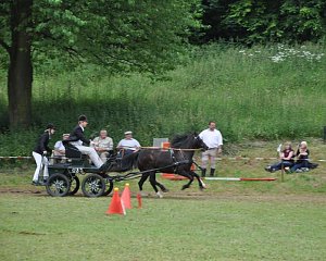 Ponyfest Wülfingerode