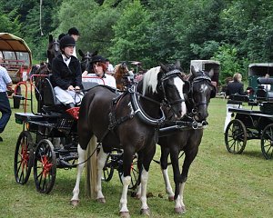 Ponyfest Wülfingerode