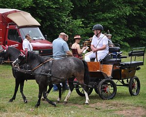 Ponyfest Wülfingerode