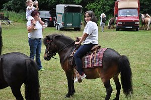 Ponyfest Wülfingerode