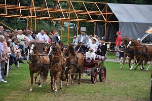 Ponyfest Wülfingerode
