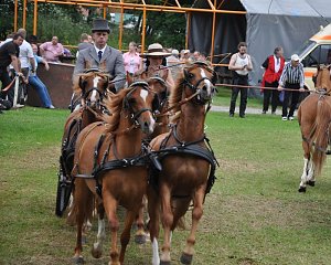 Ponyfest Wülfingerode