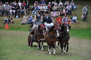 Ponyfest Wülfingerode