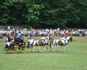 Ponyfest Wülfingerode