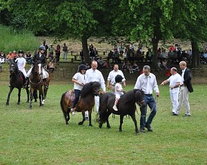 Ponyfest Wülfingerode