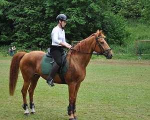 Ponyfest Wülfingerode