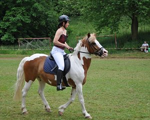 Ponyfest Wülfingerode