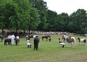Ponyfest Wülfingerode