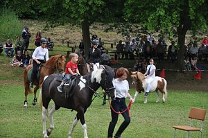 Ponyfest Wülfingerode