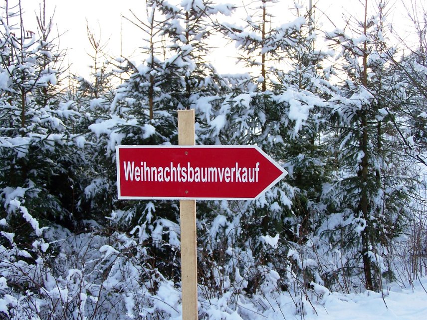 Das Tanzstudio Radeva war in den letzten Wochen gleich auf drei B&uuml;hnen zu sehen