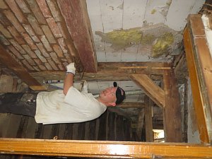 Arbeitseinsatz der Kreissparkasse Nordhausen im Altendorf 48